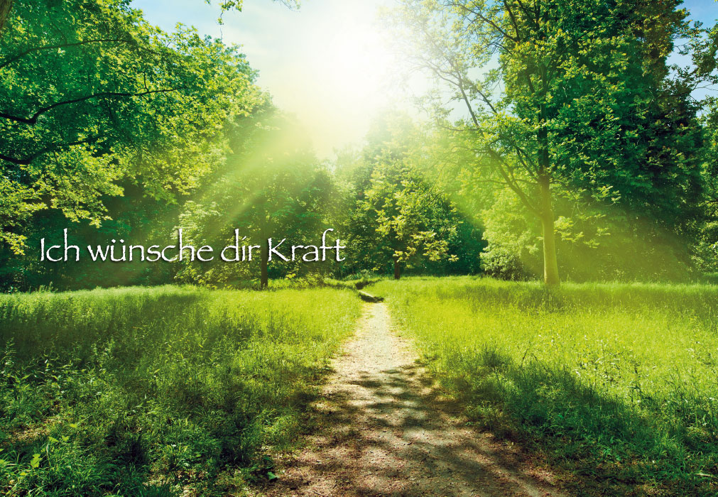 Genesung - Weg im Grünen ins Licht Genesung - Weg im Grünen ins Licht