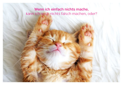 Gute Laune für jede Gelegenheit - sich streckende Katze Gute Laune für jede Gelegenheit - sich streckende Katze