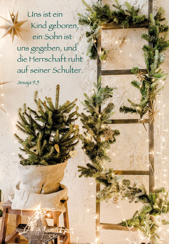 Weihnachten - Lichterkette, weiß, grün, Tannenzweige Weihnachten - Lichterkette, weiß, grün, Tannenzweige