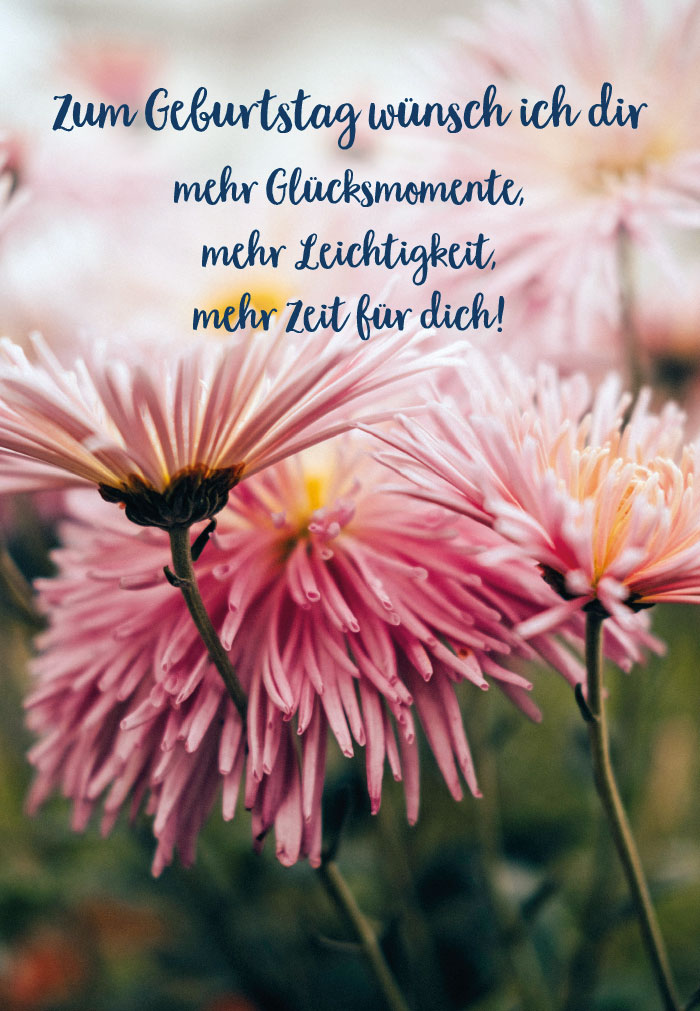 Geburtstag - rosa Dahlien im Licht Geburtstag - rosa Dahlien im Licht
