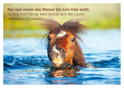 Postkarte - schwimmendes Pferd Postkarte - schwimmendes Pferd