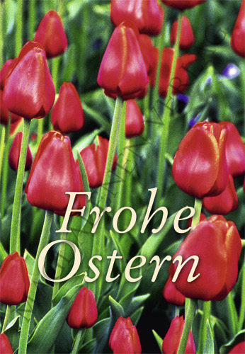 Ostern - Glückwunschkarte Tulpen rot Ostern - Glückwunschkarte Tulpen rot