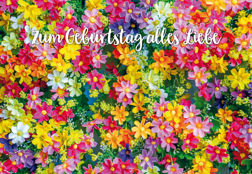 Geburtstag - Blumen, bunte Wiese Geburtstag - Blumen, bunte Wiese