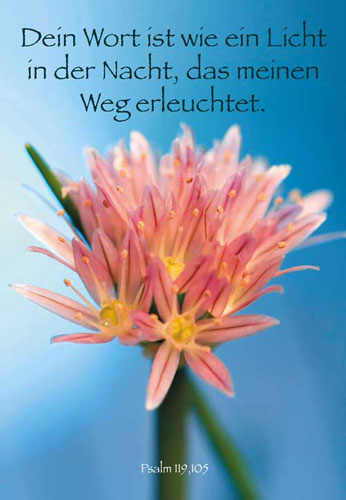 Konfirmation - Doppelkarte Blüte Konfirmation - Doppelkarte Blüte