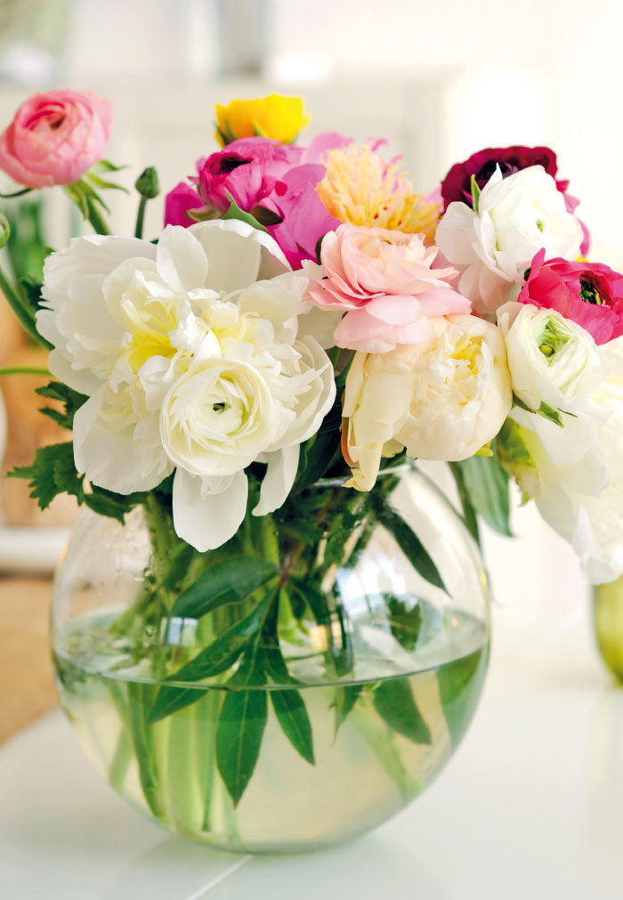 Blumen - bunte Ranunkeln im Strauß in einer Vase Blumen - bunte Ranunkeln im Strauß in einer Vase