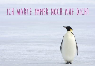 Gute Laune für jede Gelegenheit - Pinguin im Schnee Gute Laune für jede Gelegenheit - Pinguin im Schnee