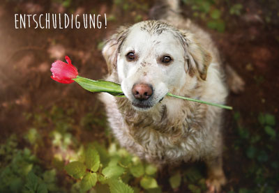 Tiere - Doppelkarte Hund mit Blume Tiere - Doppelkarte Hund mit Blume