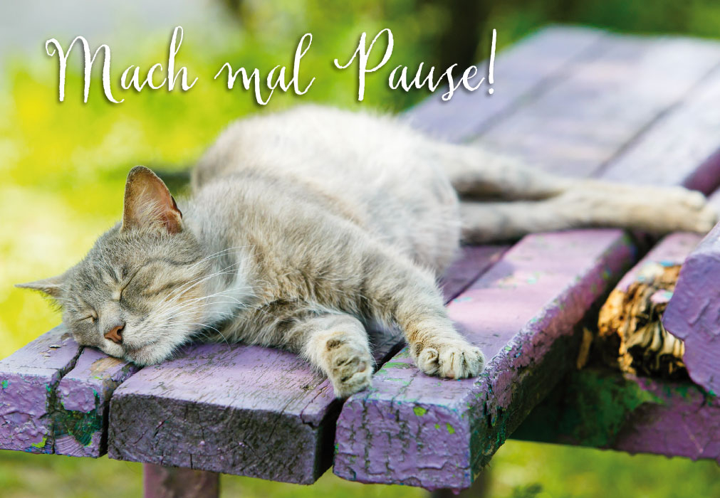 Gute Laune Gr??e f?r alle Lebenslagen - schlafende Katze auf Bank Gute Laune Gr??e f?r alle Lebenslagen - schlafende Katze auf Bank