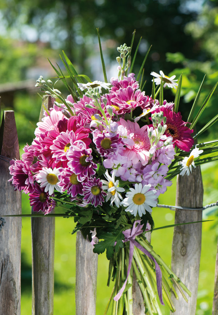 Blumen - Blumenstrauß an Zaun gebunden Blumen - Blumenstrauß an Zaun gebunden