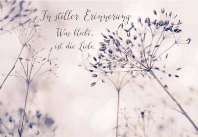 Trauer - dünne, vertrocknete Blumen Trauer - dünne, vertrocknete Blumen