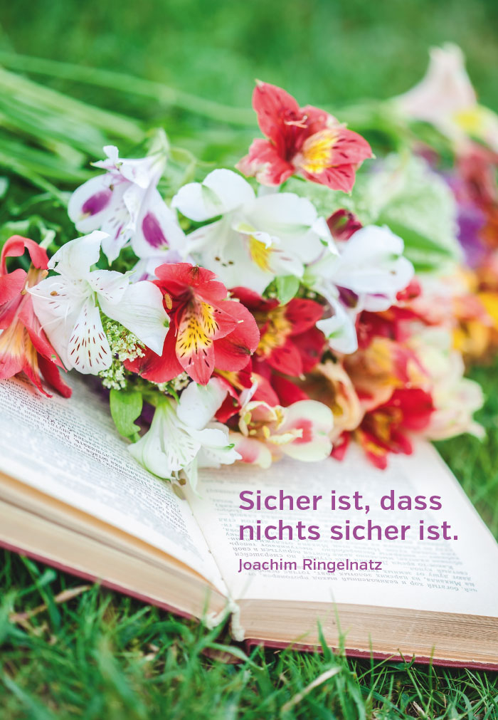Gedanken - offenes Buch, Blumen, Wiese Gedanken - offenes Buch, Blumen, Wiese