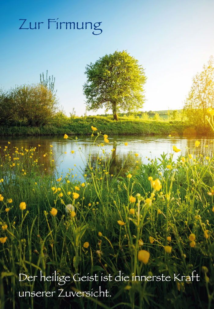 Firmung - Blumenwiese an Weier im Sonnenlicht Firmung - Blumenwiese an Weier im Sonnenlicht
