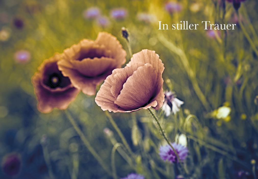 Trauer - Mohnblüten