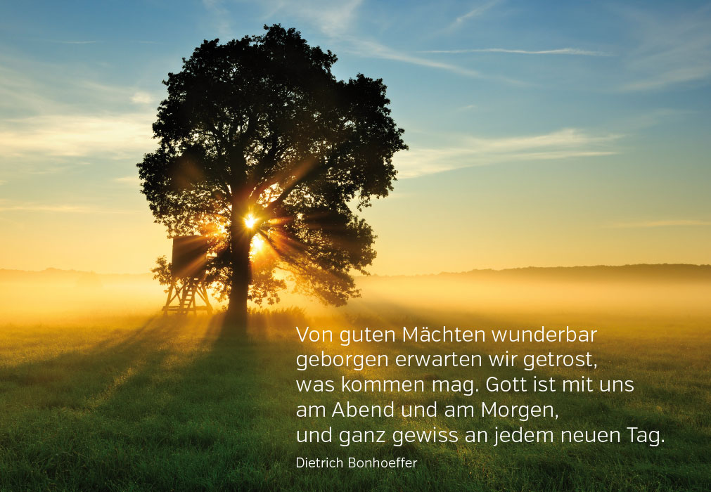 Gedanken - Baum in der aufgehenden Sonne Gedanken - Baum in der aufgehenden Sonne