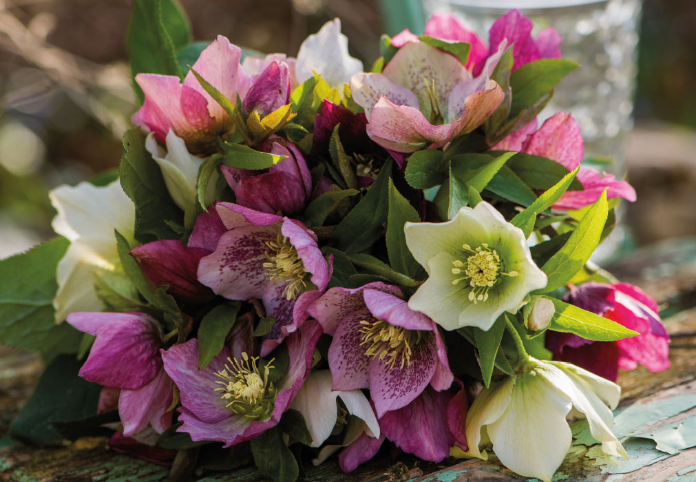 Blumen - spezieller Blumenstrauß, lila, rosa, weiß Blumen - spezieller Blumenstrauß, lila, rosa, weiß