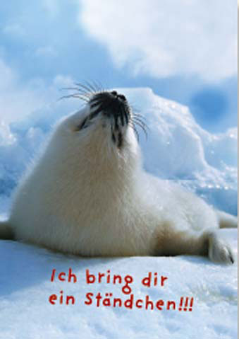 Geburtstag - Doppelkarte Geburtstag - Doppelkarte