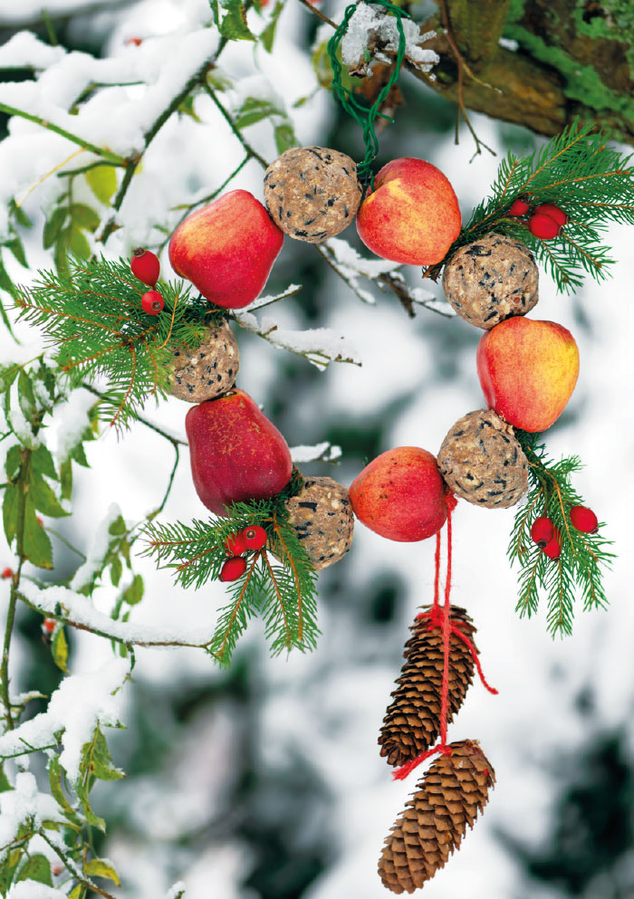 Weihnachten - Kleine Kartengrüße Vogelfutter spezial