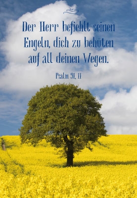 Konfirmation - Baum inmitten gelber Blumen Konfirmation - Baum inmitten gelber Blumen